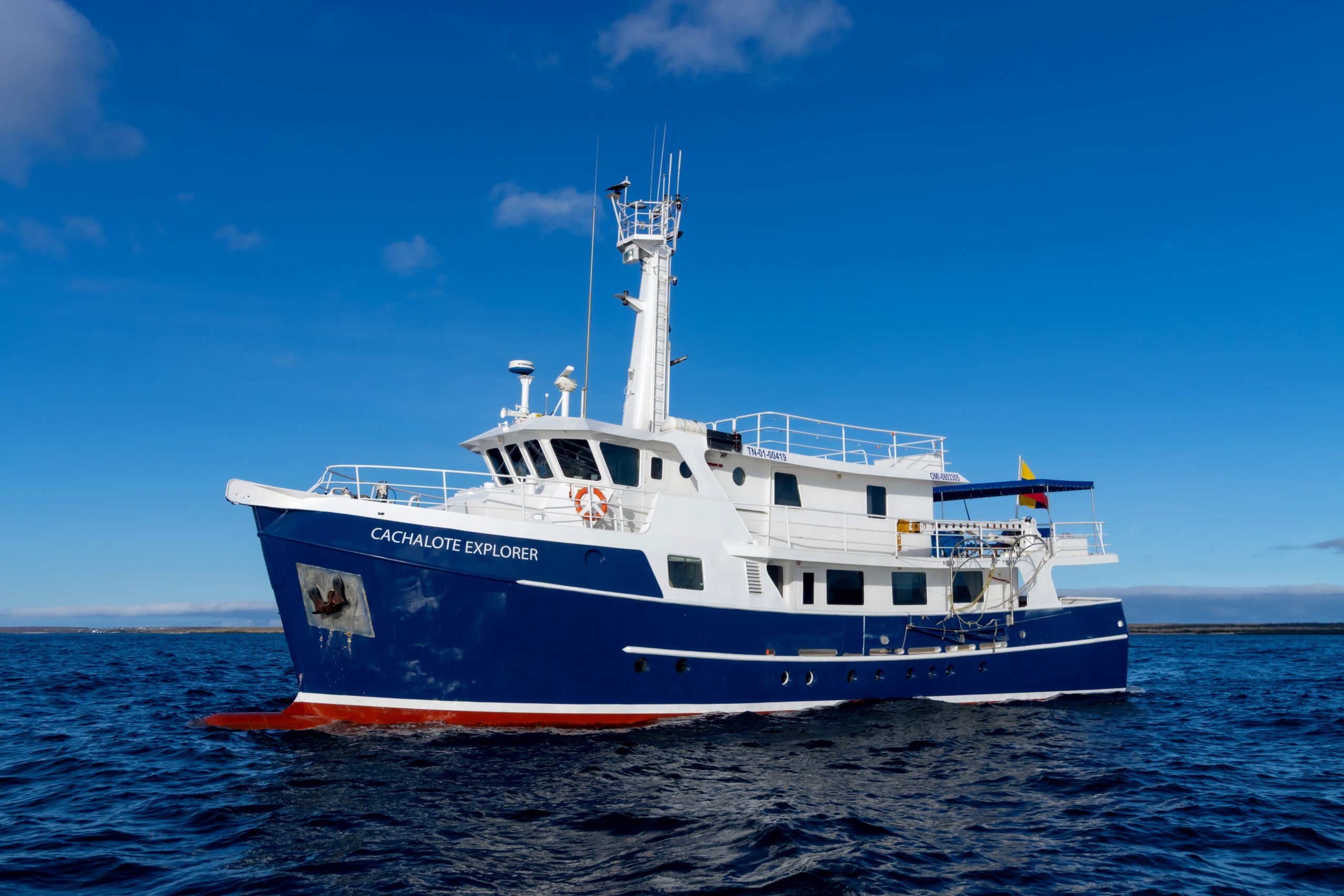 Cachalote Explorer sun deck